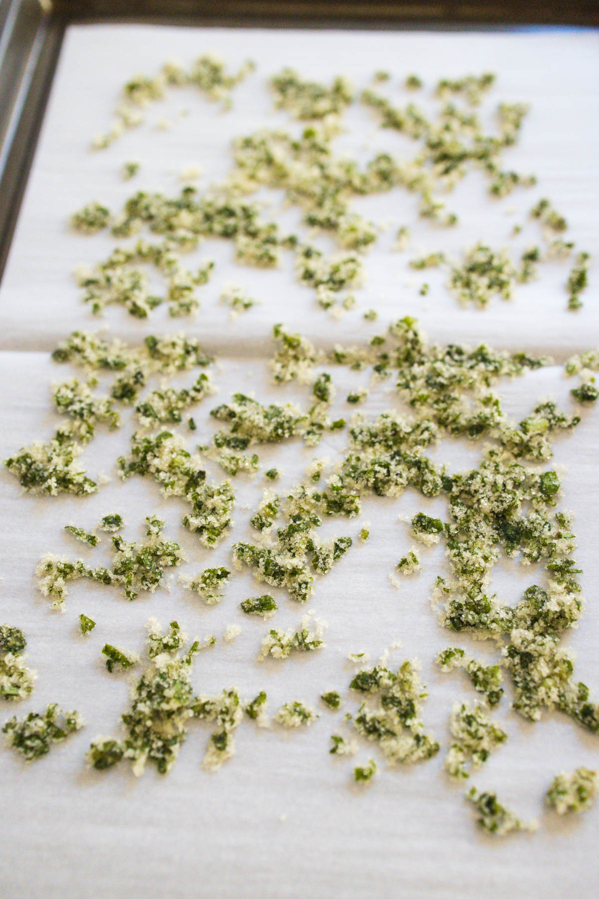 Candied basil sugar spread out on a cookie sheet to dry out.